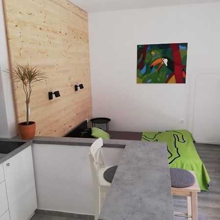 Studio Apartman Fleiss Apartman Szamobor Kültér fotó